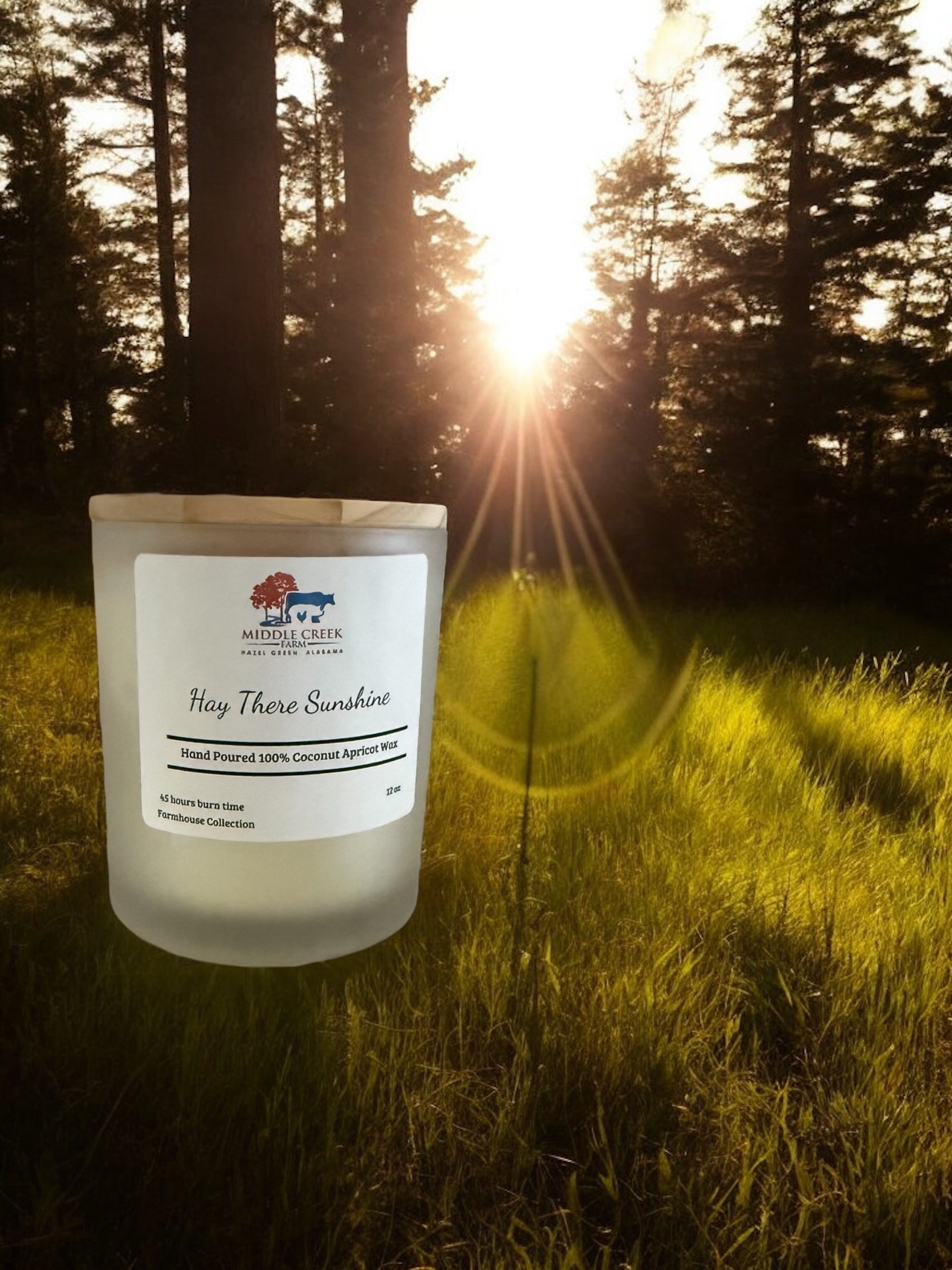 Hay There Sunshine Hand Poured Candle image 0