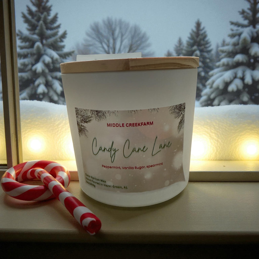 Candy Cane Lane Hand Poured Candle