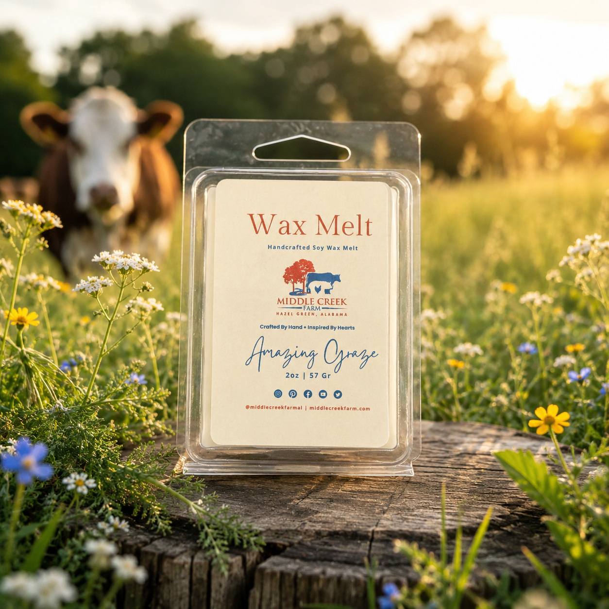 Amazing Graze Wax Melt