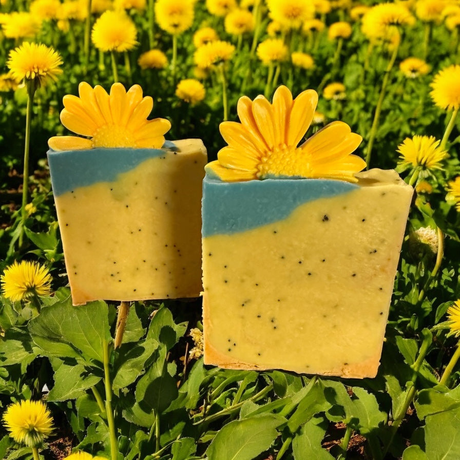 Dandelion & Poppyseed Goat milk Soap image 0